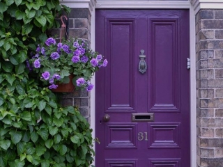 purple front door with red brick house lots of green plants glass transom