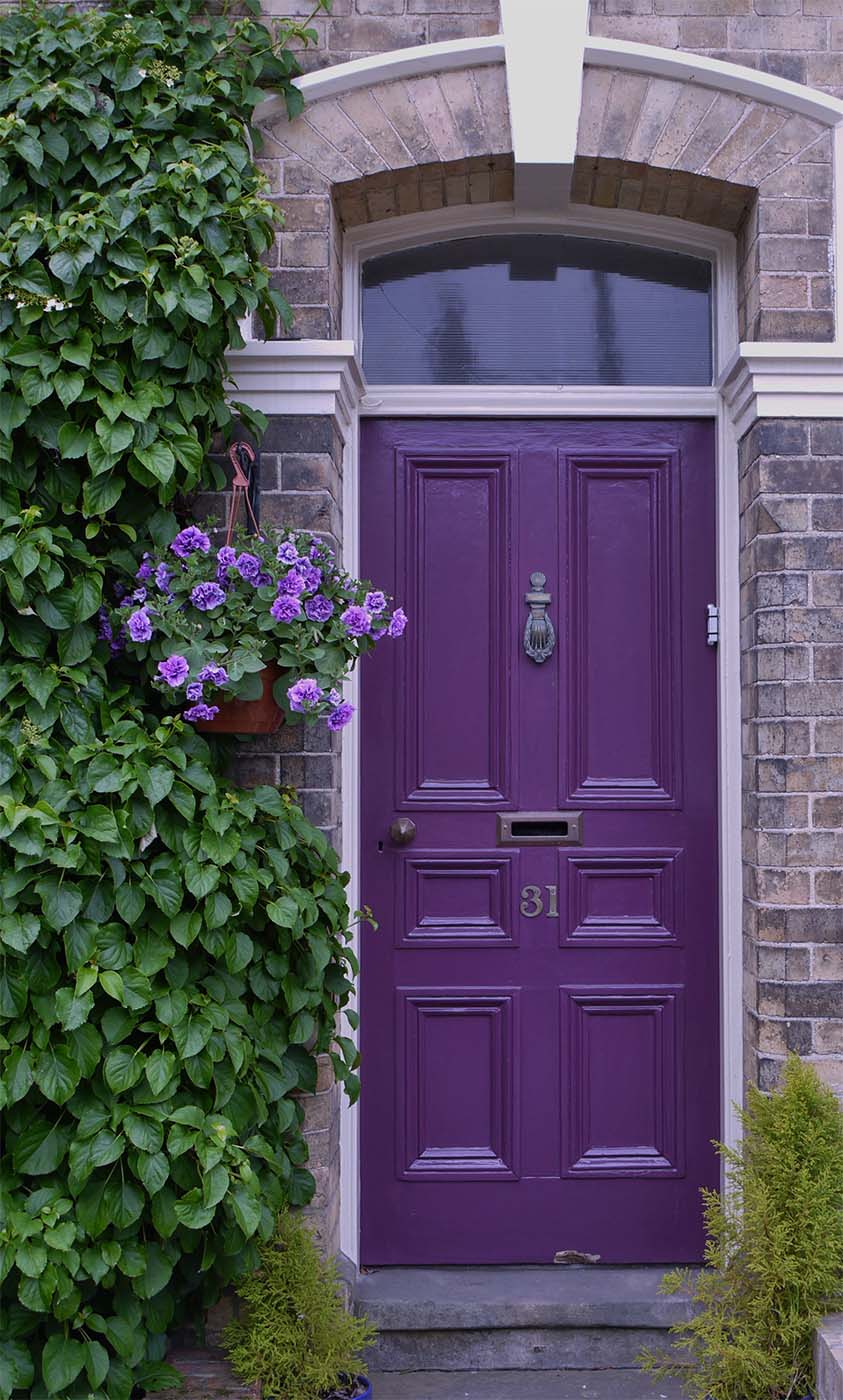 purple front door with red brick house lots of green plants glass transom