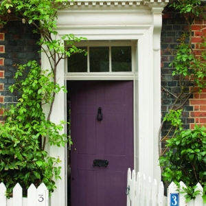 purple front door with glass transom and white trim red brick house lots of plants