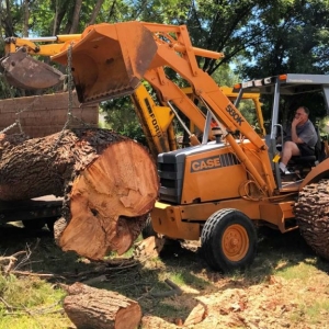 NJ Tree removal company moving huge tree trunks with an excavator machine