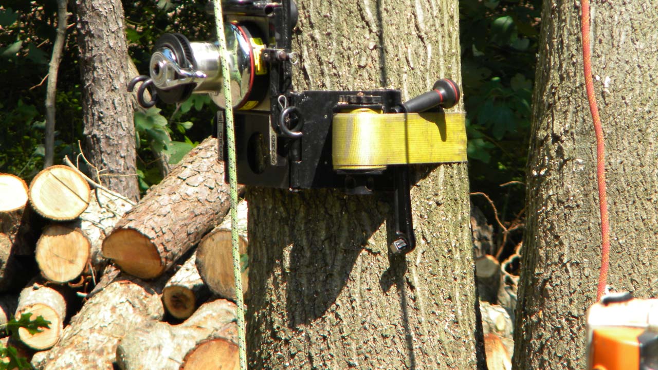 NJ tree service cable machine attached to tree trunk for extending ropes