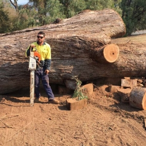 Tree service NJ worker standing in front of a giant cut down tree trunk