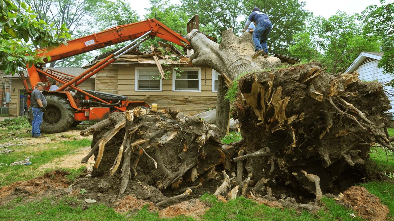 Tree Service NJ cutting down a tree that fell on a house