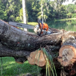 tree service NJ pic of huge cut down tree trunk with a stihl chainsaw