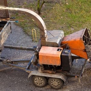 tree removal business near me NJ putting branches into a chipper machine