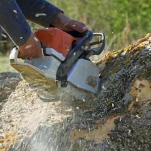 NJ tree removal service near me closup pic of cutting into a huge tree trunk with a chainsaw
