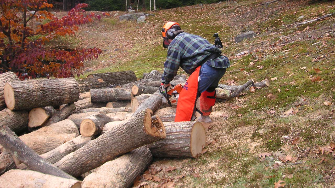 local tree service near me worker cutting up tree trunks on the ground with a chainsaw
