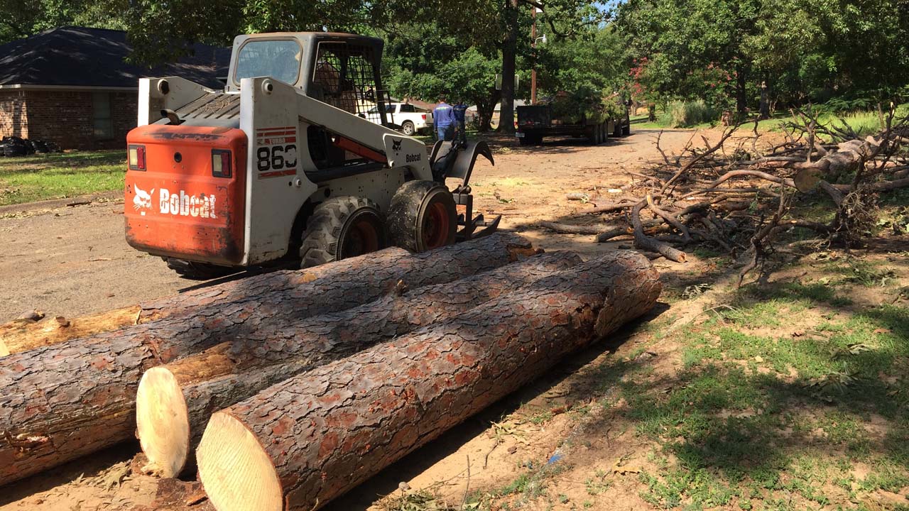 New Jersey Tree Removal Service peices of a tree cut up with bobcat