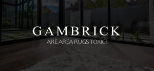 Are Area Rugs Toxic banner picture