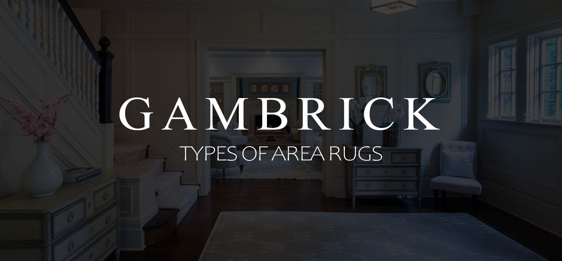 type of area rugs banner picture