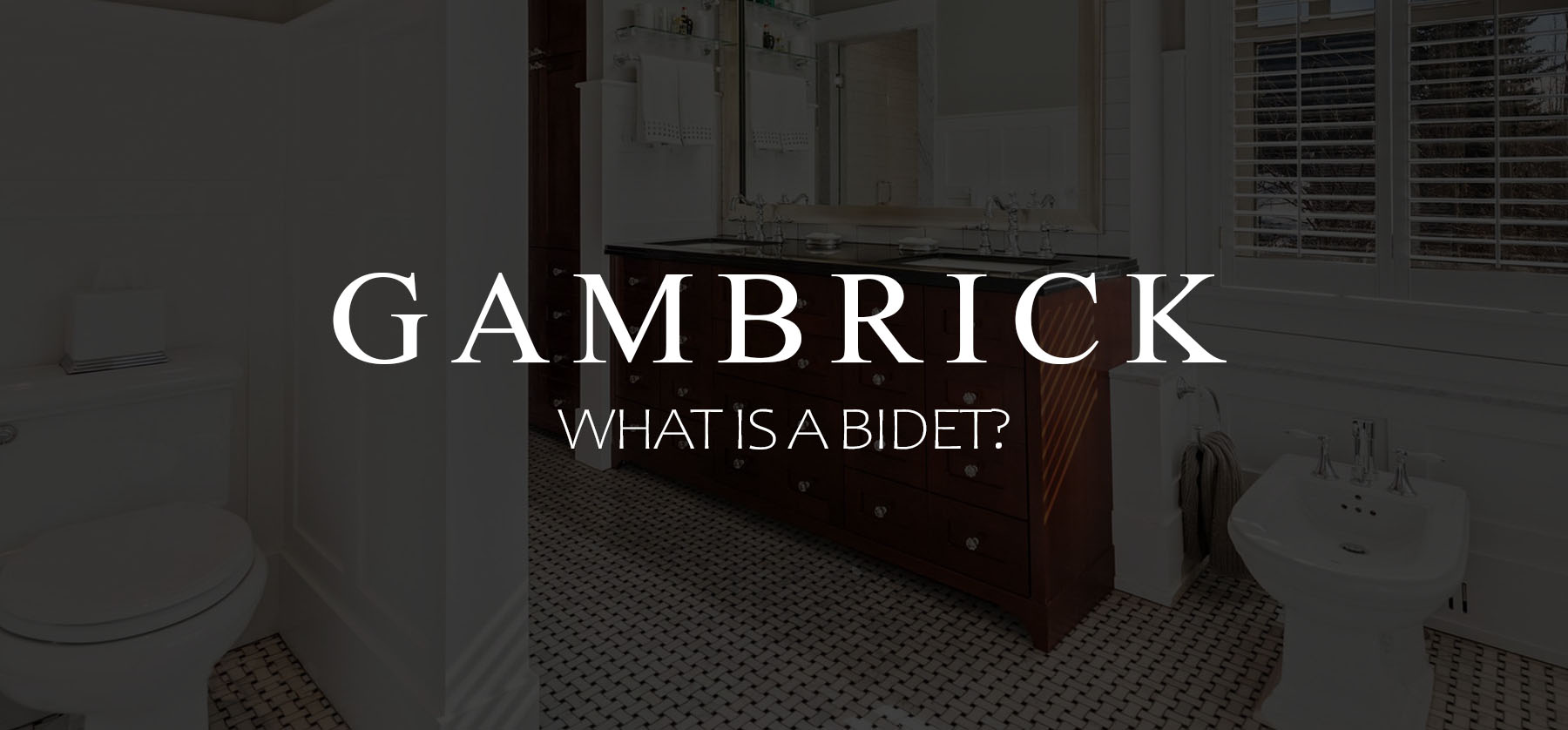 What Is A Bidet Banner Picture 1