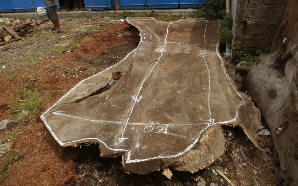 What Is Acacia Wood?