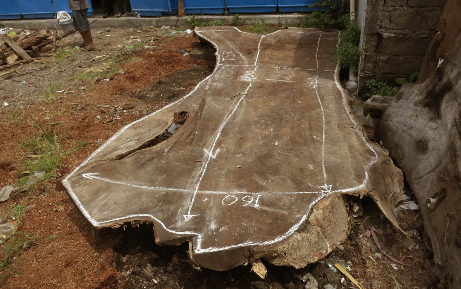 What Is Acacia Wood?