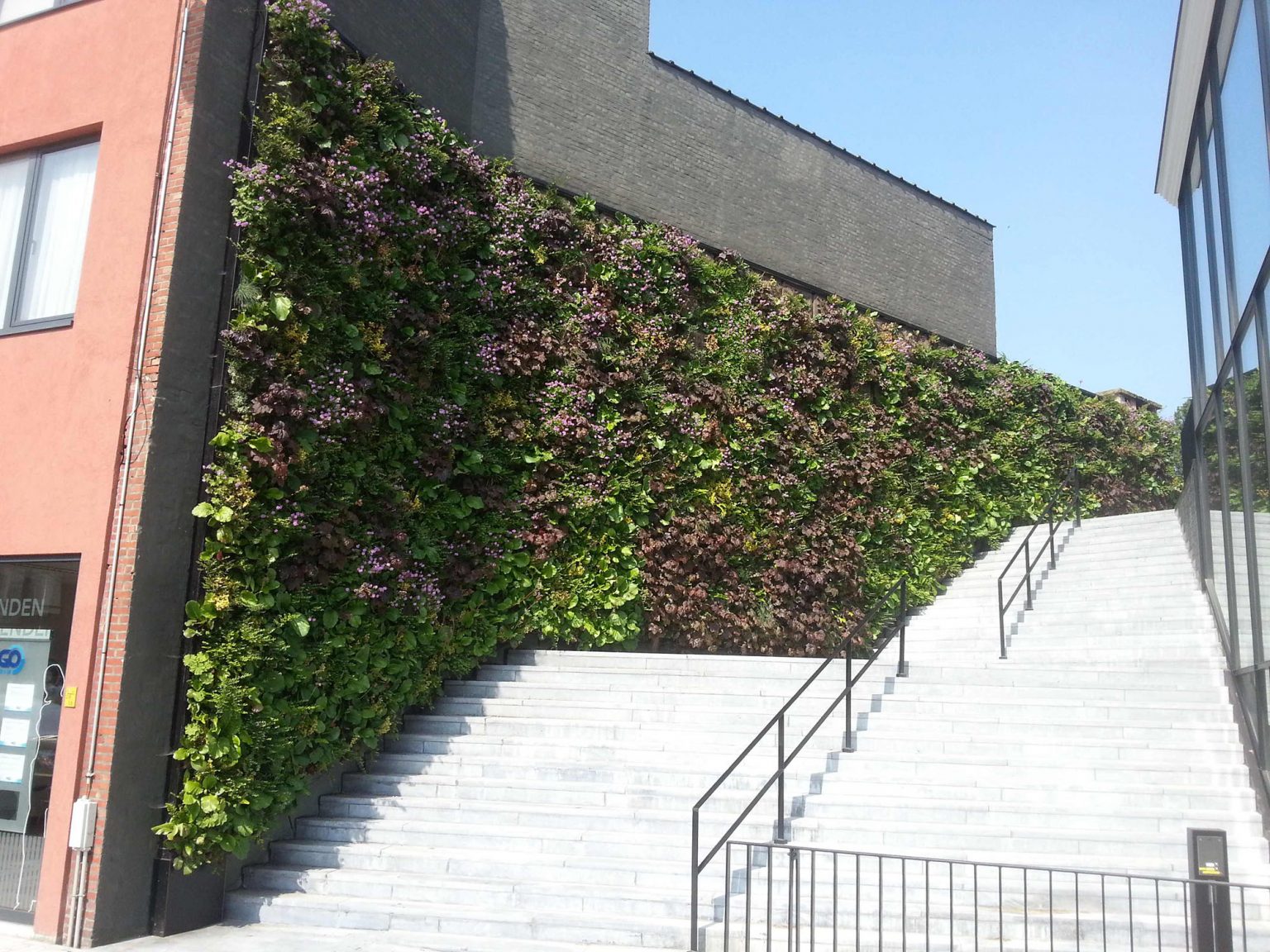 What Are Living Green Walls Benefits & How They're Made