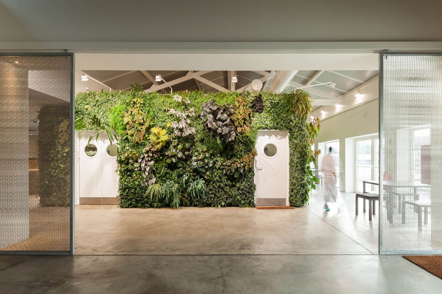 What Are Living Green Walls Benefits & How They're Made