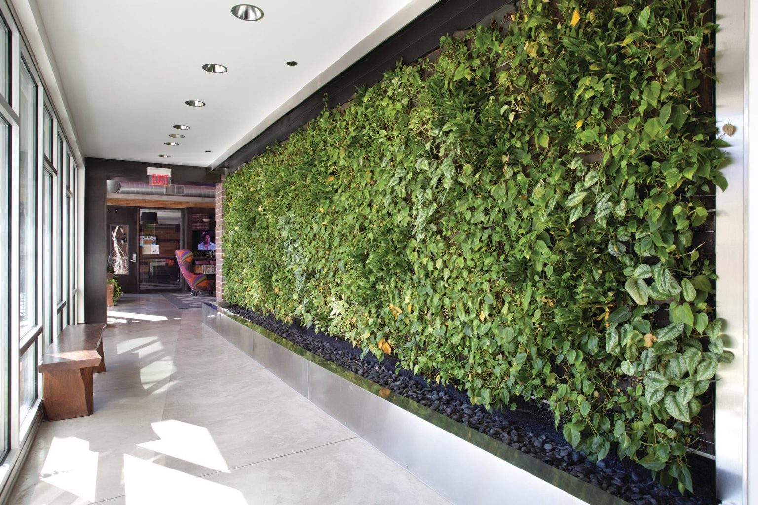 What Are Living Green Walls Benefits & How They're Made