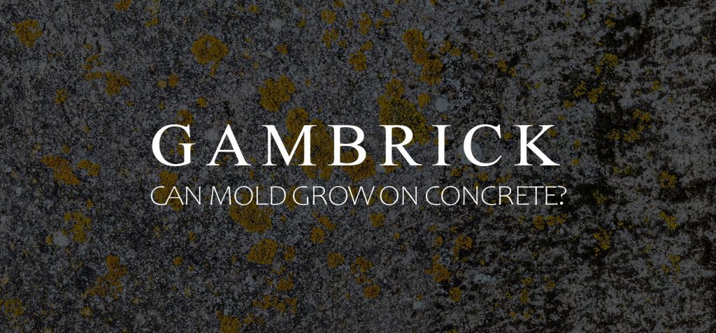 can mold grow on concrete banner