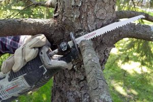 cutting a tree with a Sawzall reciprocating saw