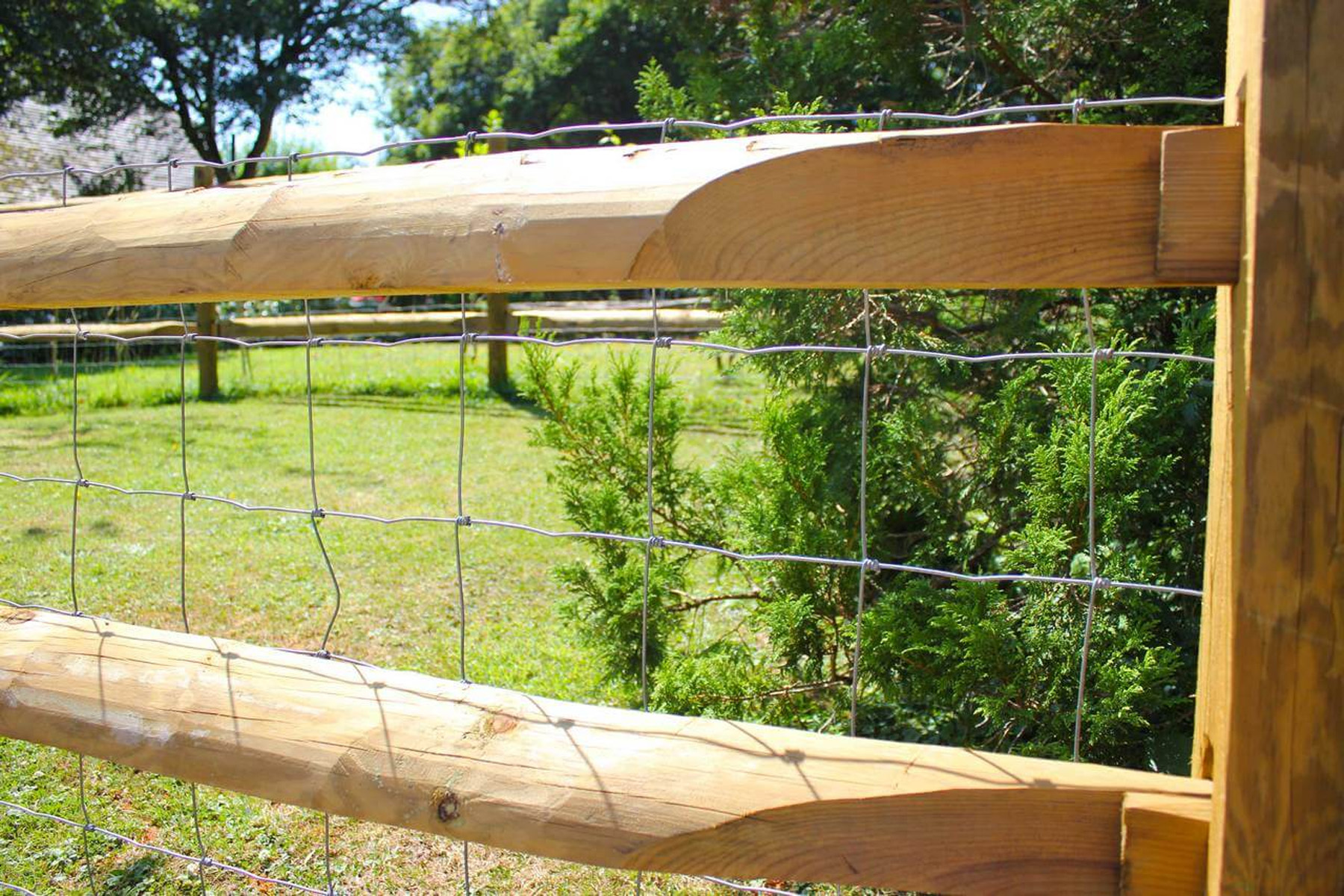 wood fence without mold, mildew orgreen algae growth