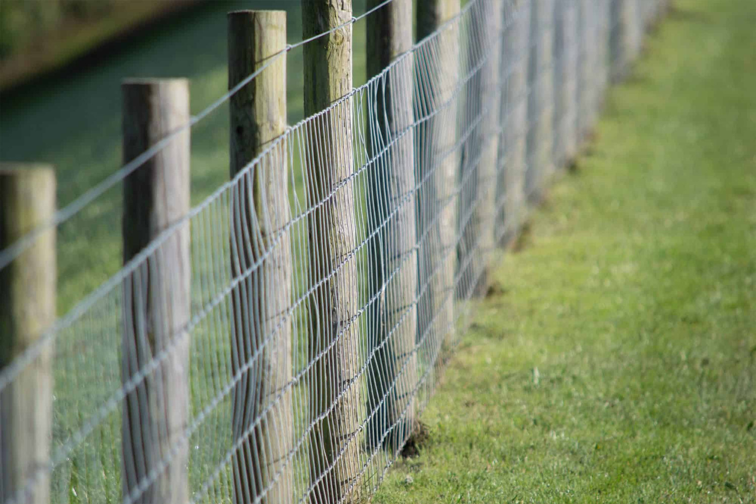 low height welded wire fence with wood posts