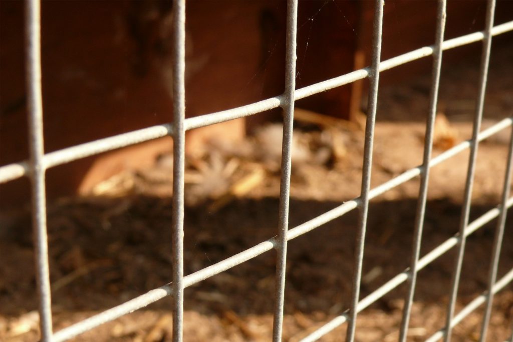 How To Install A Welded Wire Fence Like A Pro