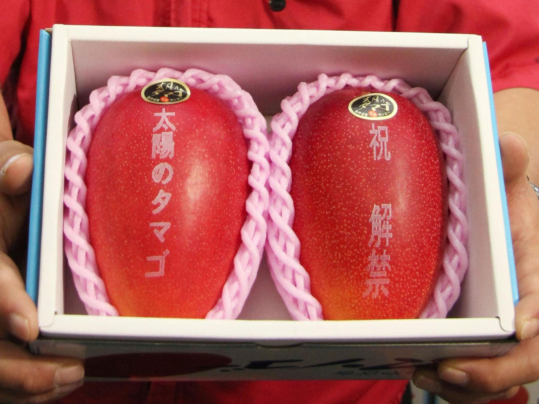 why are miyazaki mangoes so expensive 1