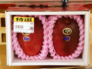 why are miyazaki mangoes so expensive 2