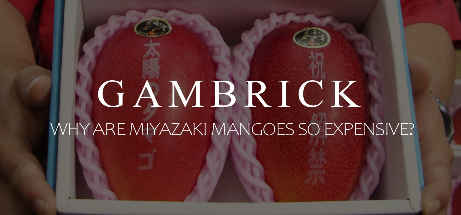 Why Are Miyazaki Mangoes So Expensive?