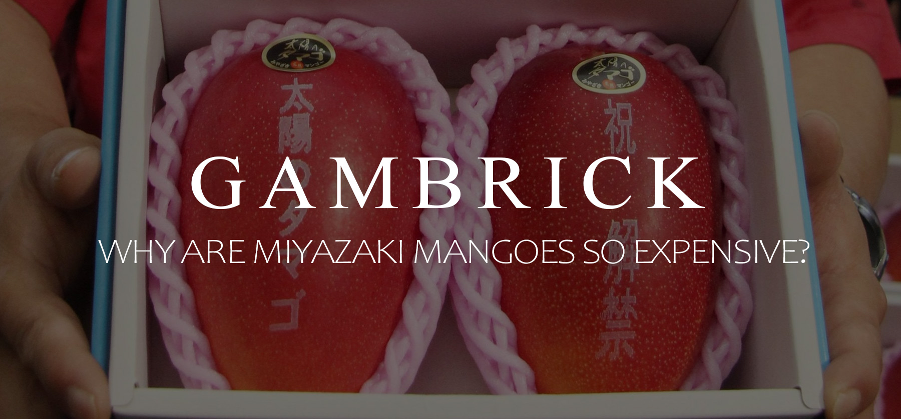 why are miyazaki mangoes so expensive banner