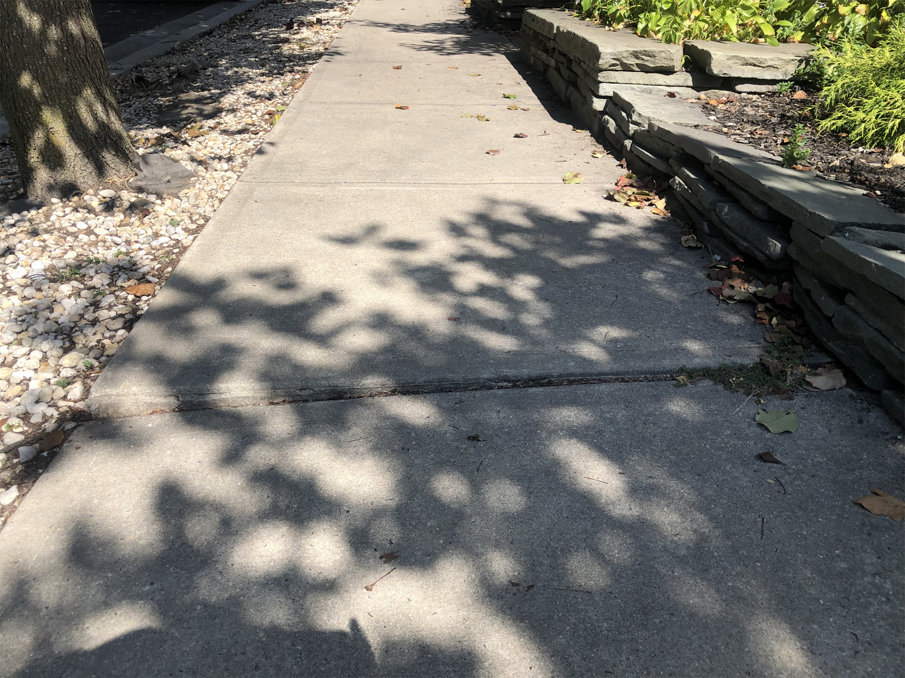 why do sidewalks crack - uneven settling 