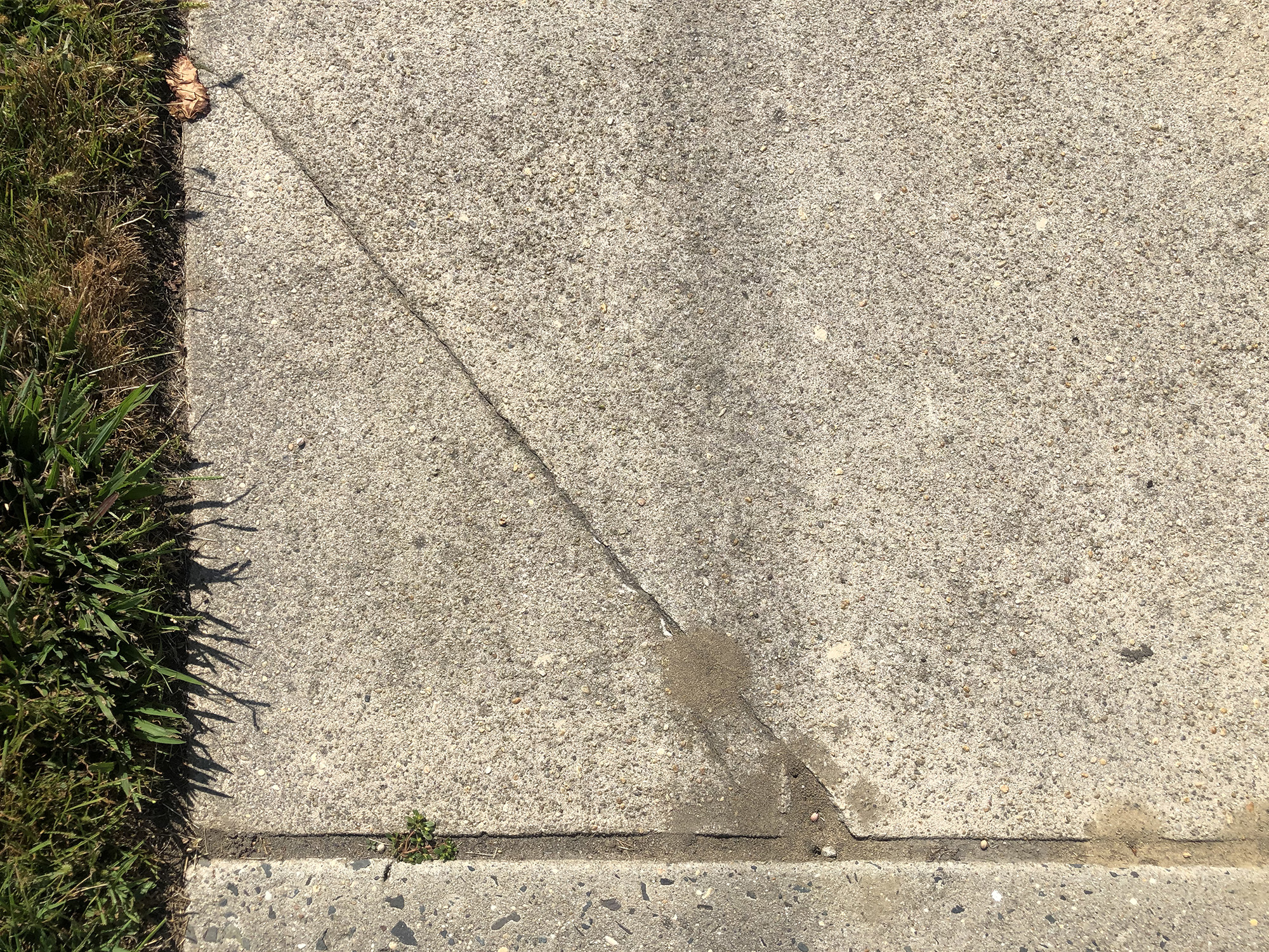 what to do about sidewalk cracks 3