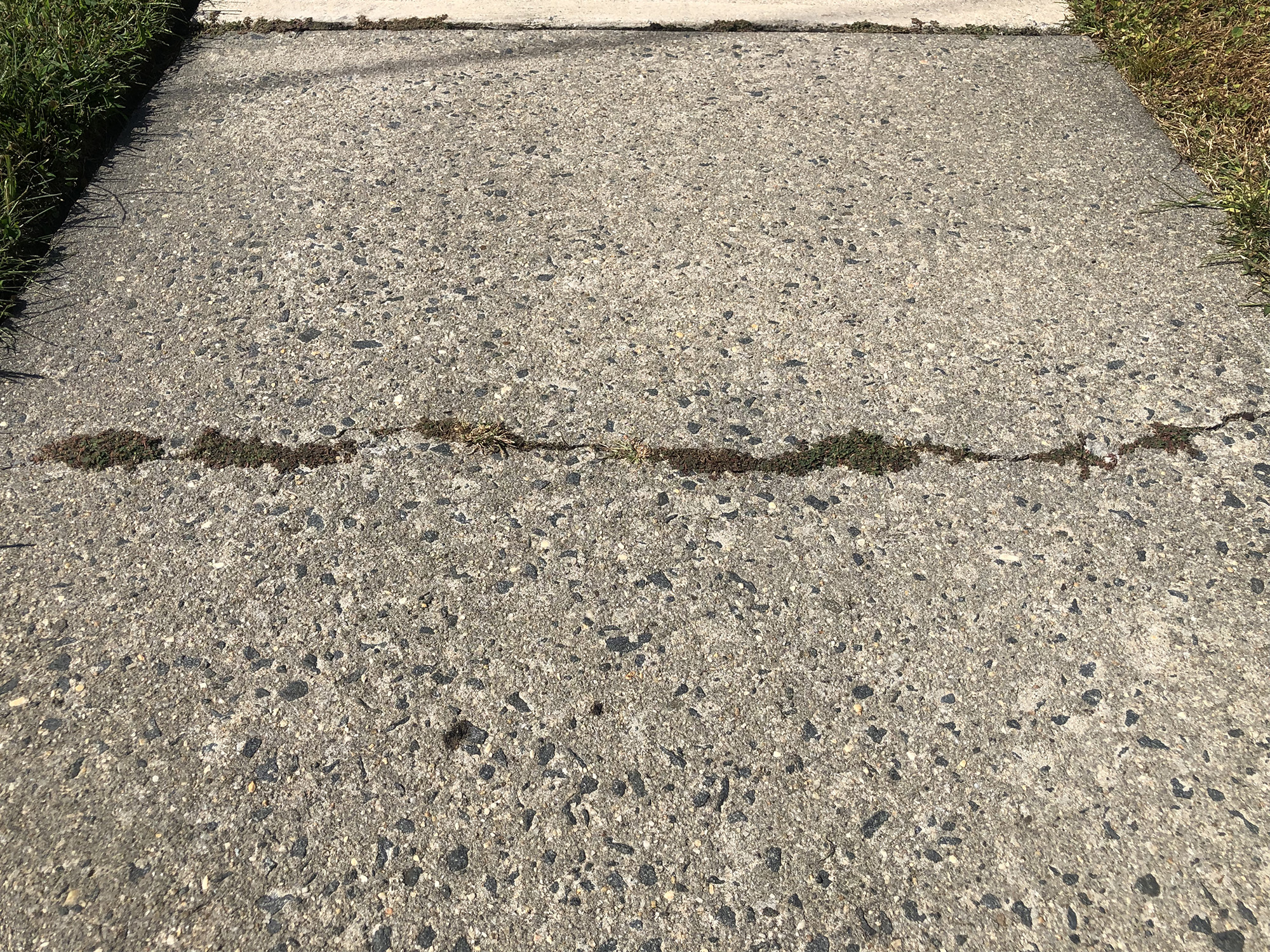 what to do about sidewalk cracks 4