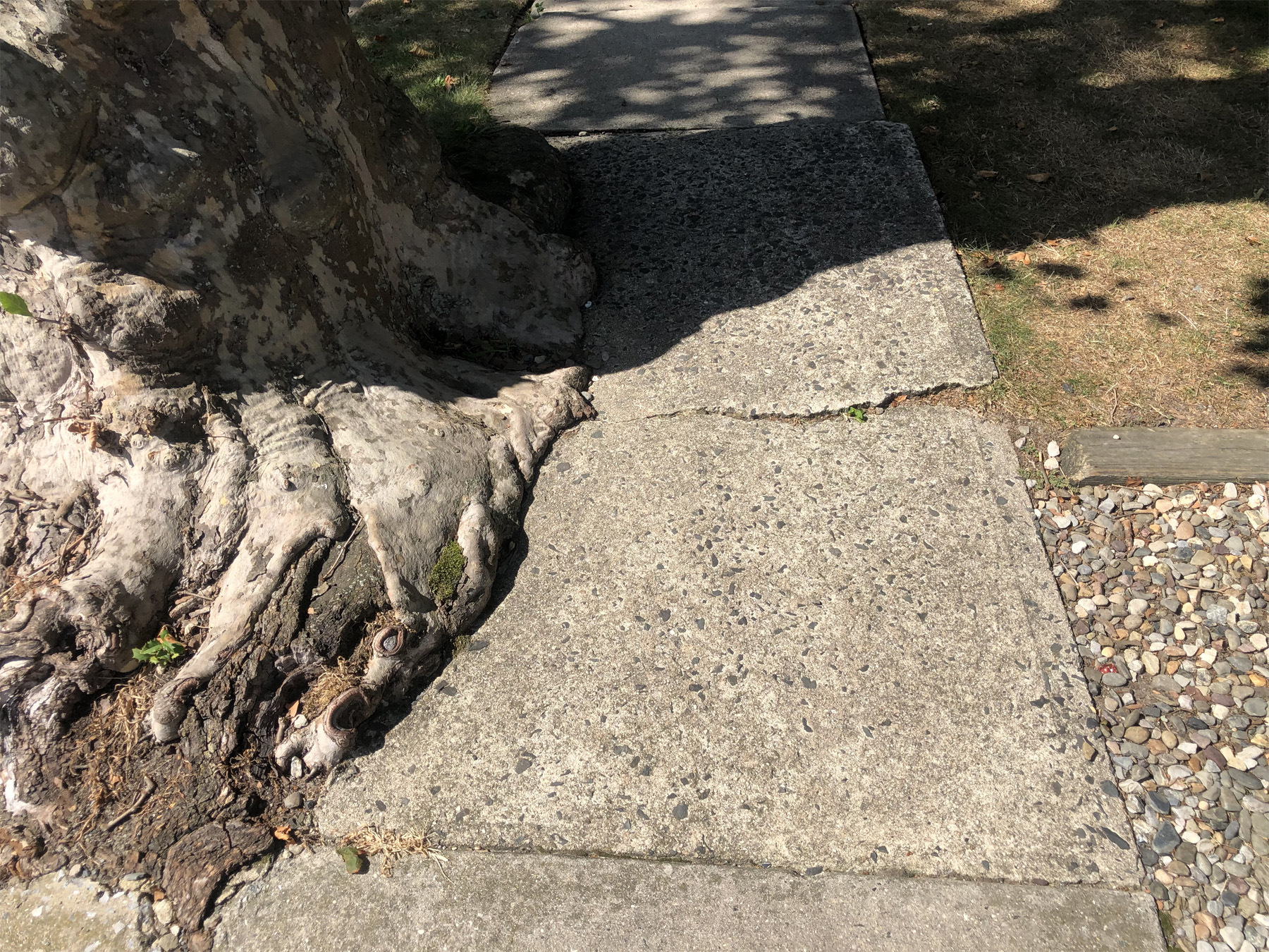 what to do about sidewalk cracks 8