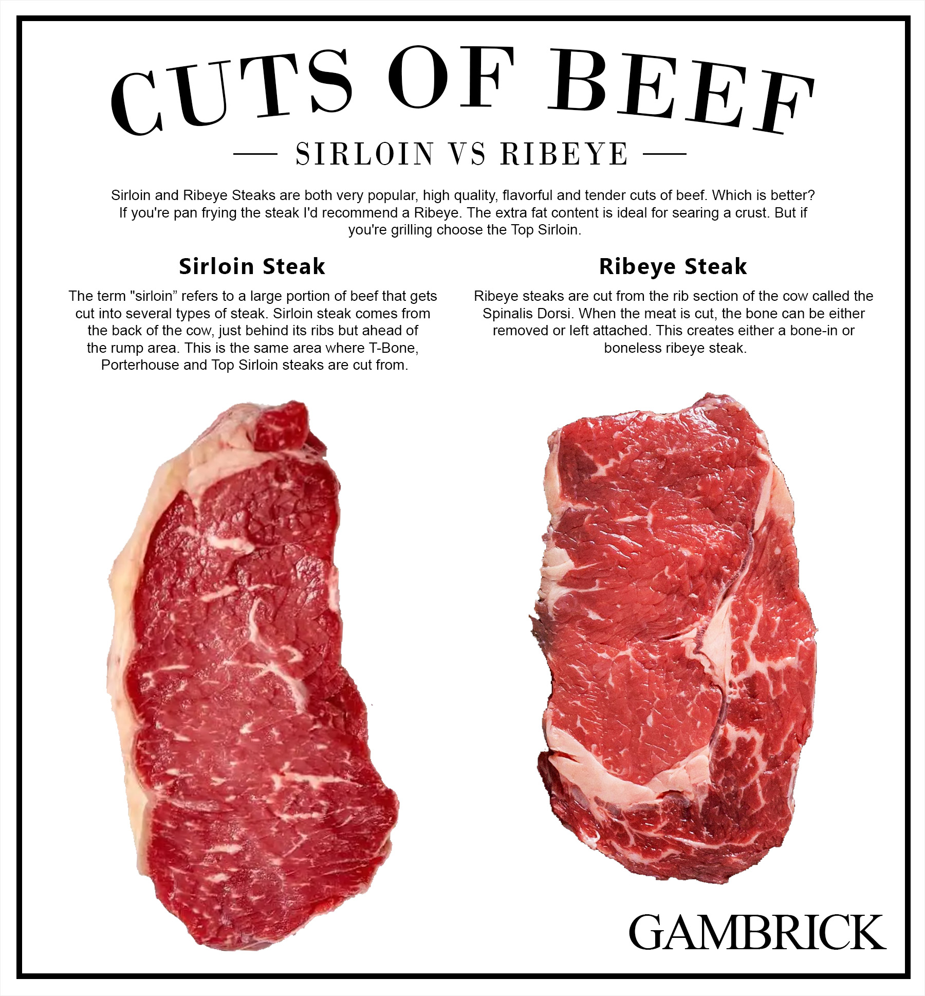 Sirloin vs Ribeye steak infographic chart 1