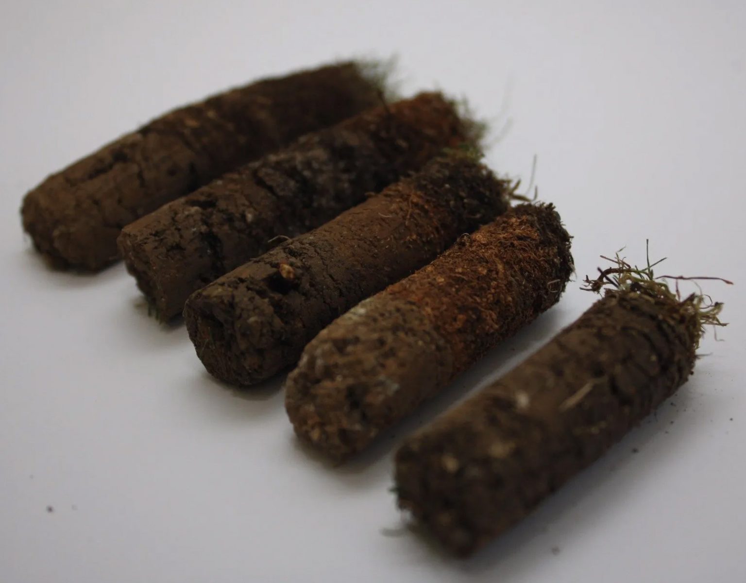 What To Do With Plugs After Aerating Lawn