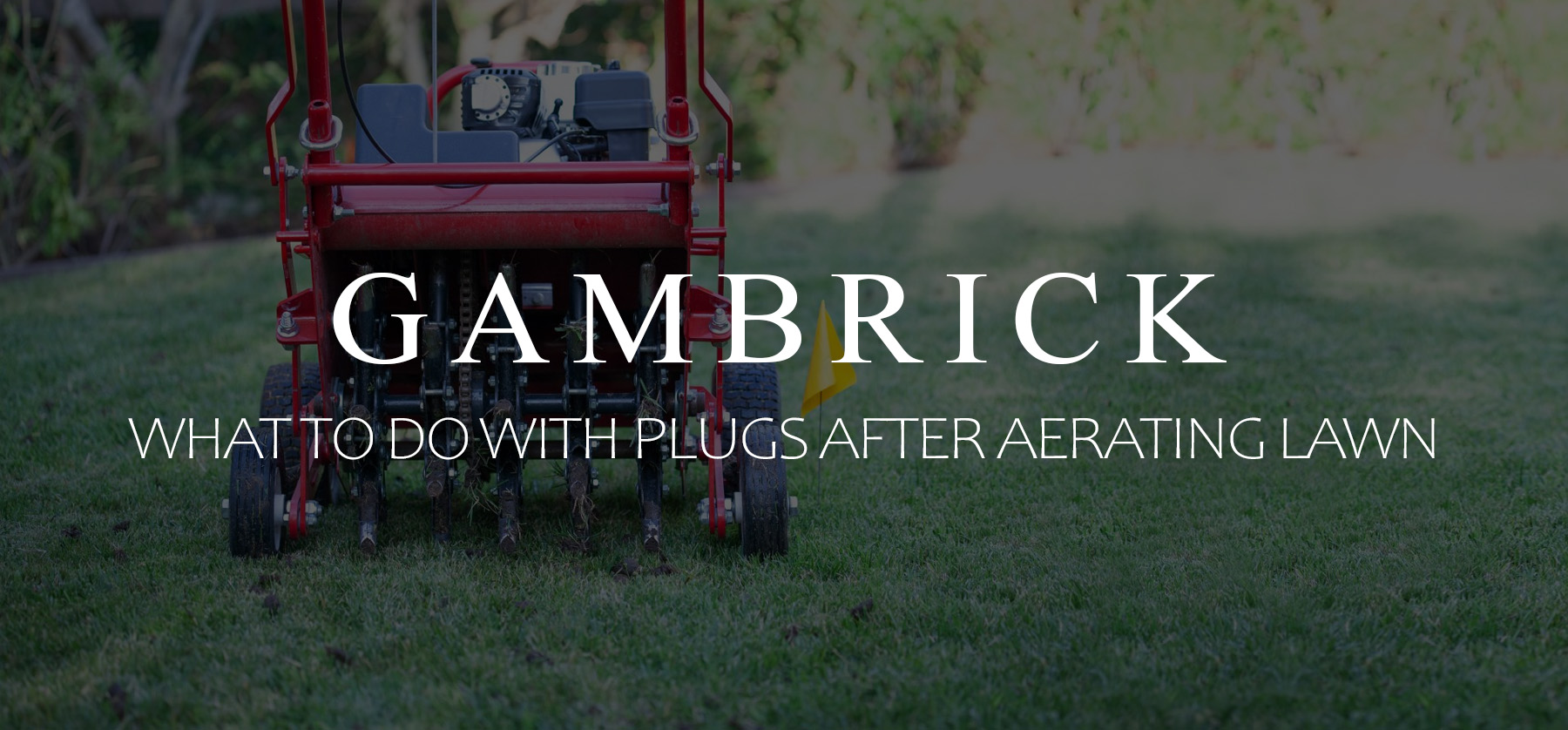 what to do with plugs after aerating lawn banner 1.0