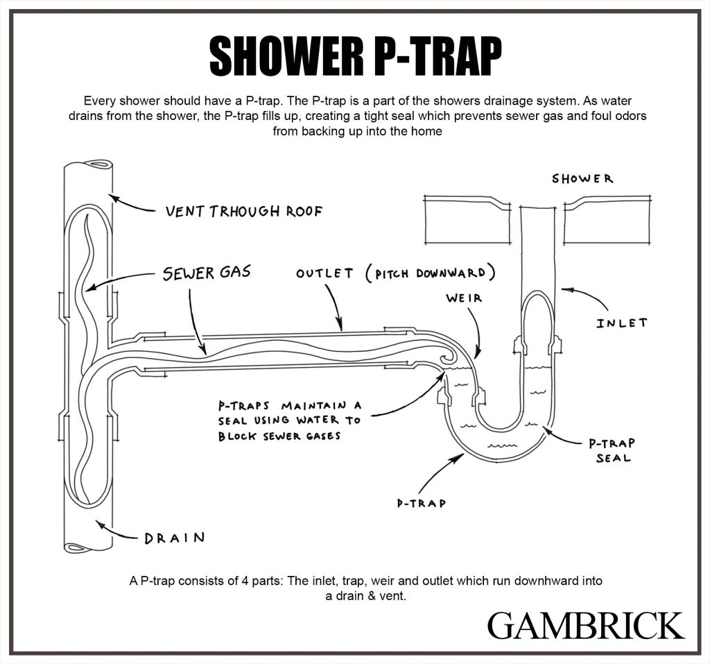 Do Showers Have A PTrap?