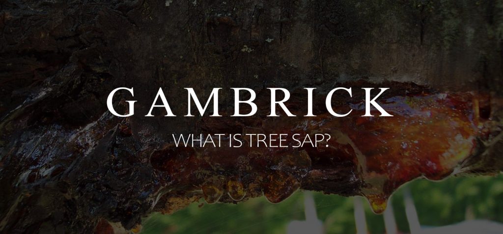 what is tree sap banner