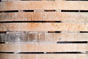 what is lath and plaster 1.0