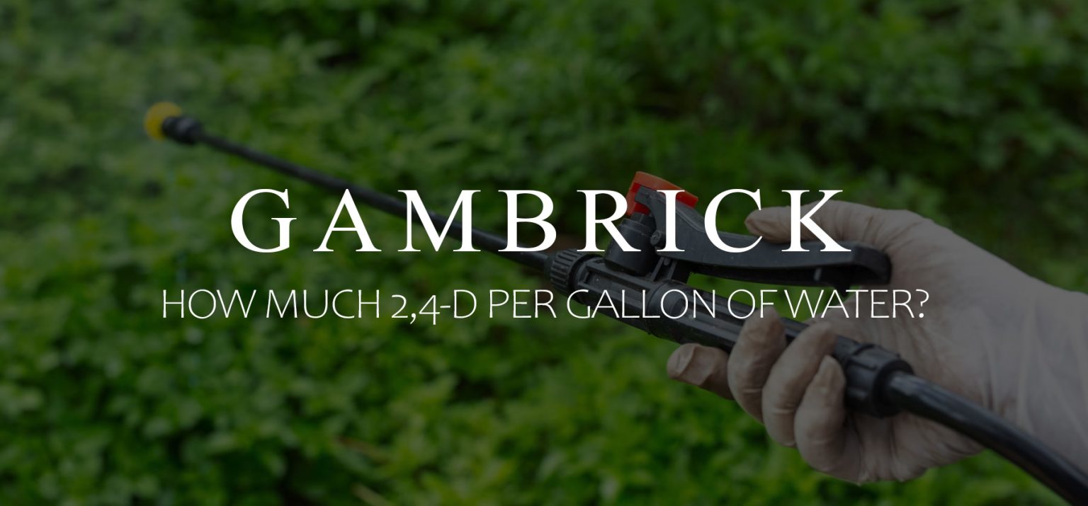 How Much 2,4D Per Gallon Of Water