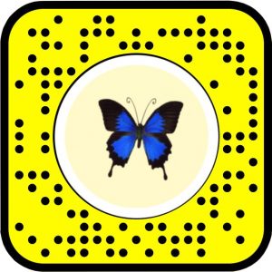 snapchat butterfly lens icon 1