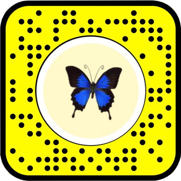 How To Unlock The Butterfly Lens On Snapchat?