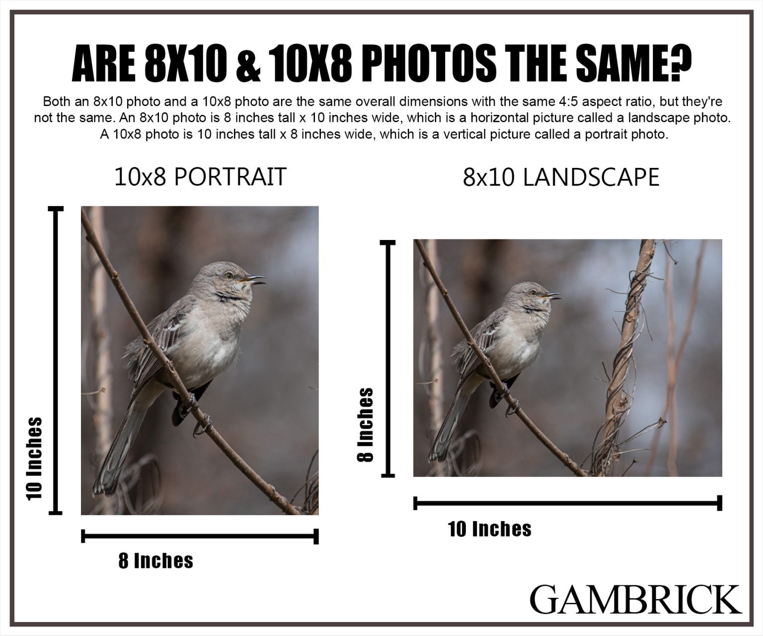 How Big Is An 8x10 Photo?