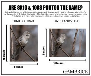 Are 8x10 and 10x8 photos the same infographic chart 1.0