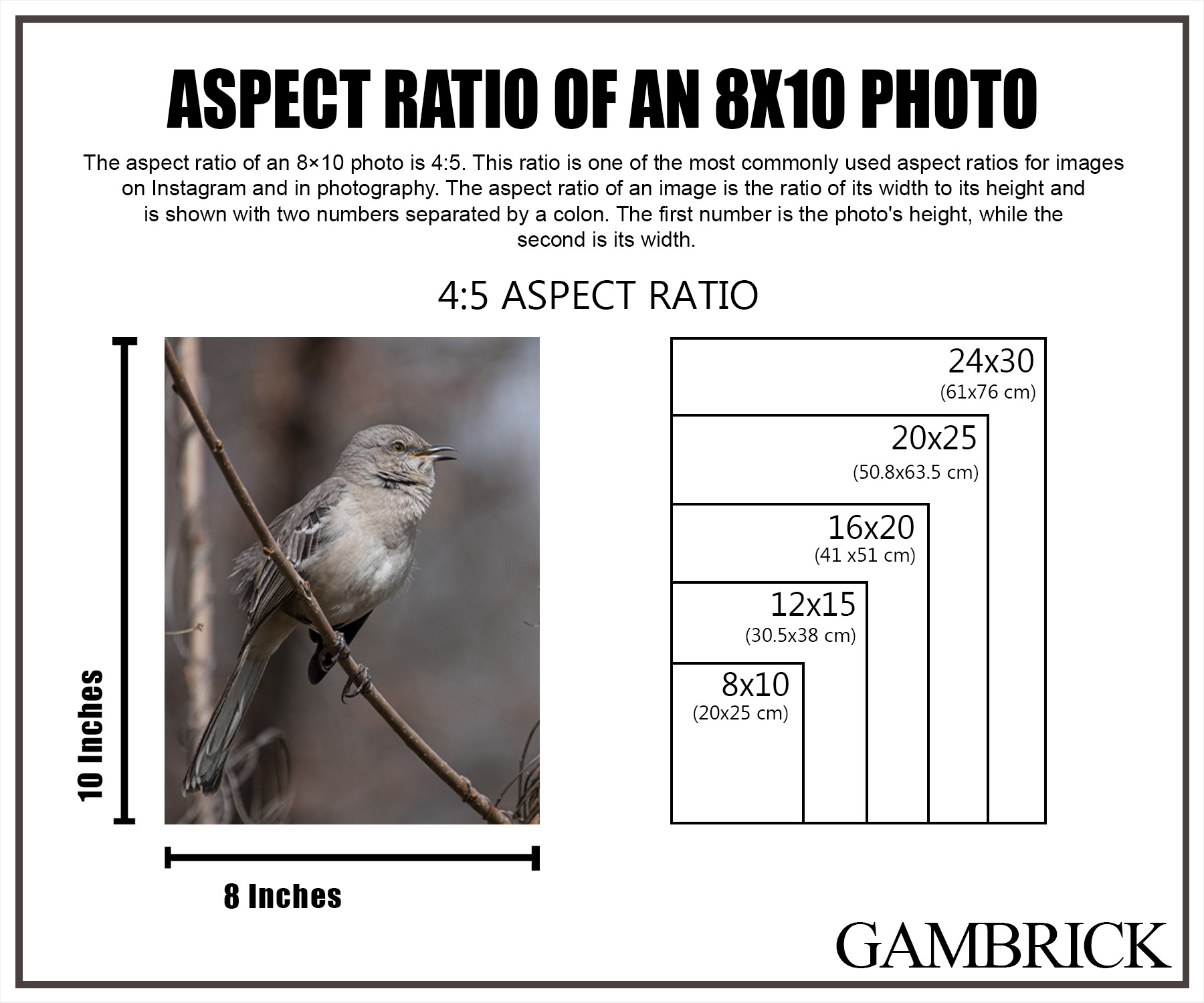Aspect ratio of an 8x10 photo infographic chart 1.0