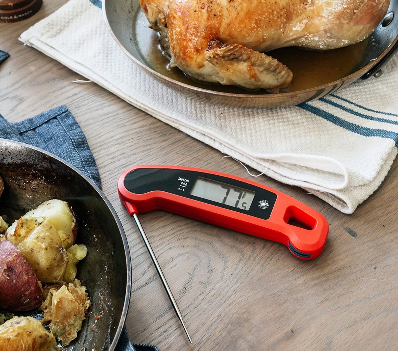 Best Instant Read Thermometer for Smoking