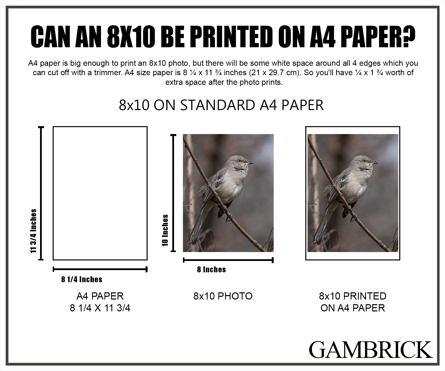 Can an 8x10 be printed on A4 paper infographic chart 1.1 copy