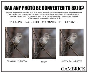 Can any photo be converted to an 8x10 infographic chart 1.2