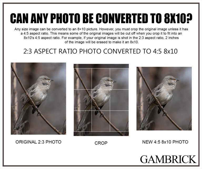How Big Is An 8x10 Photo?