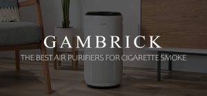The Best Air Purifiers For Cigarette Smoke banner 1.0